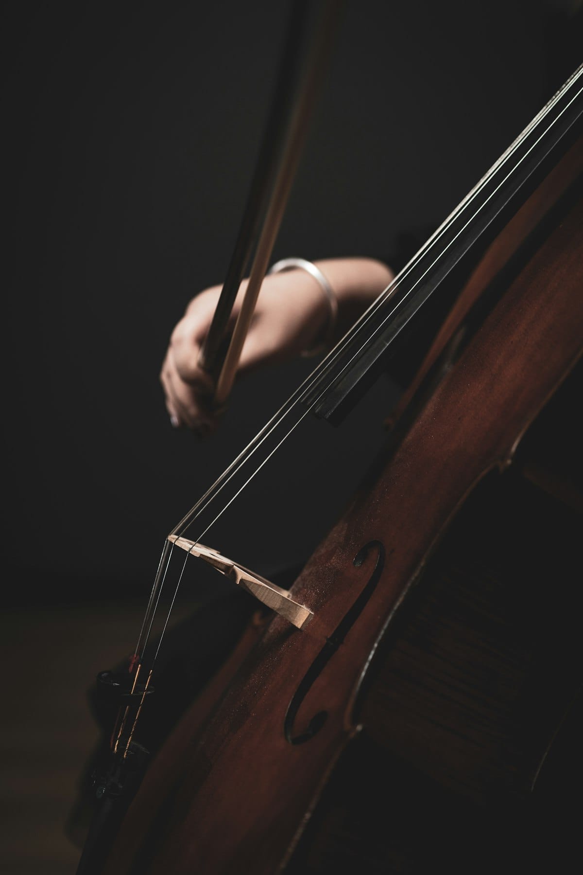 Cello sheet music maker: write and share your scores