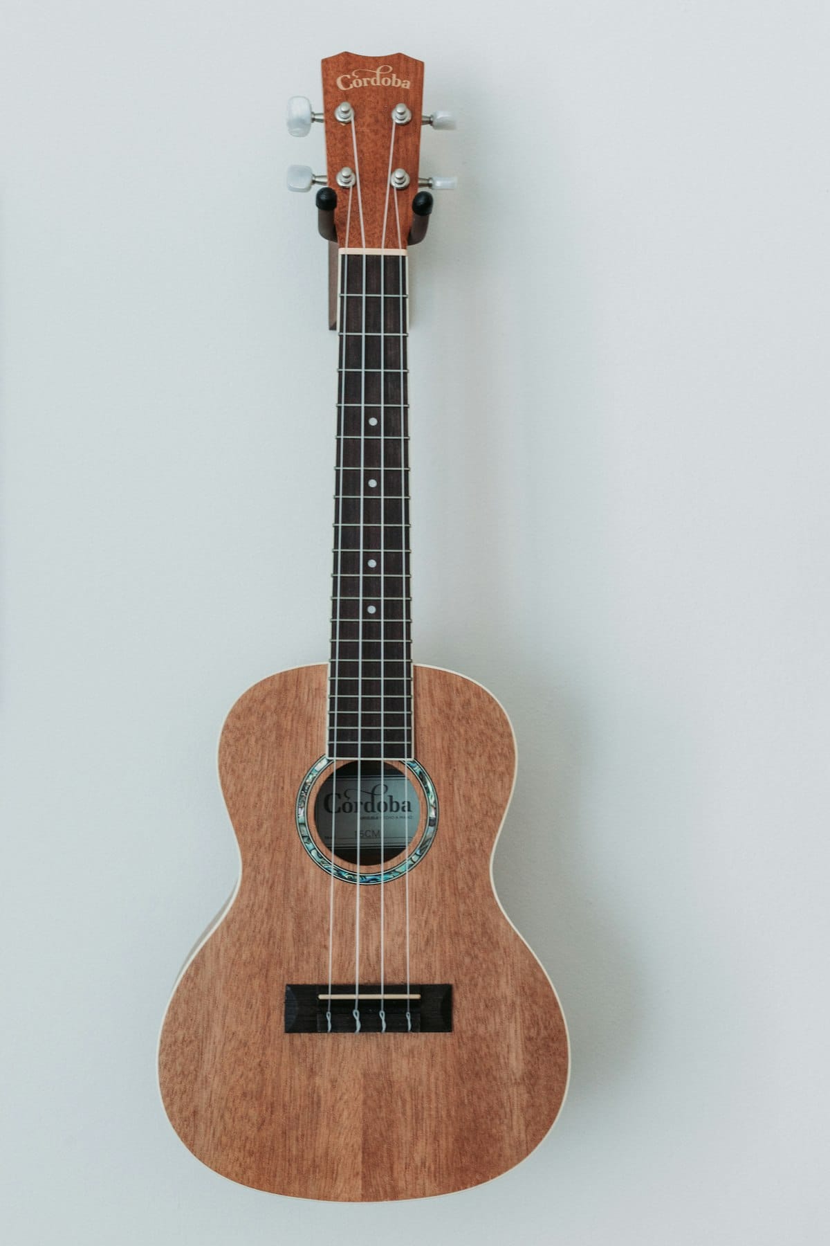 How to write tabs for ukulele in music notation software