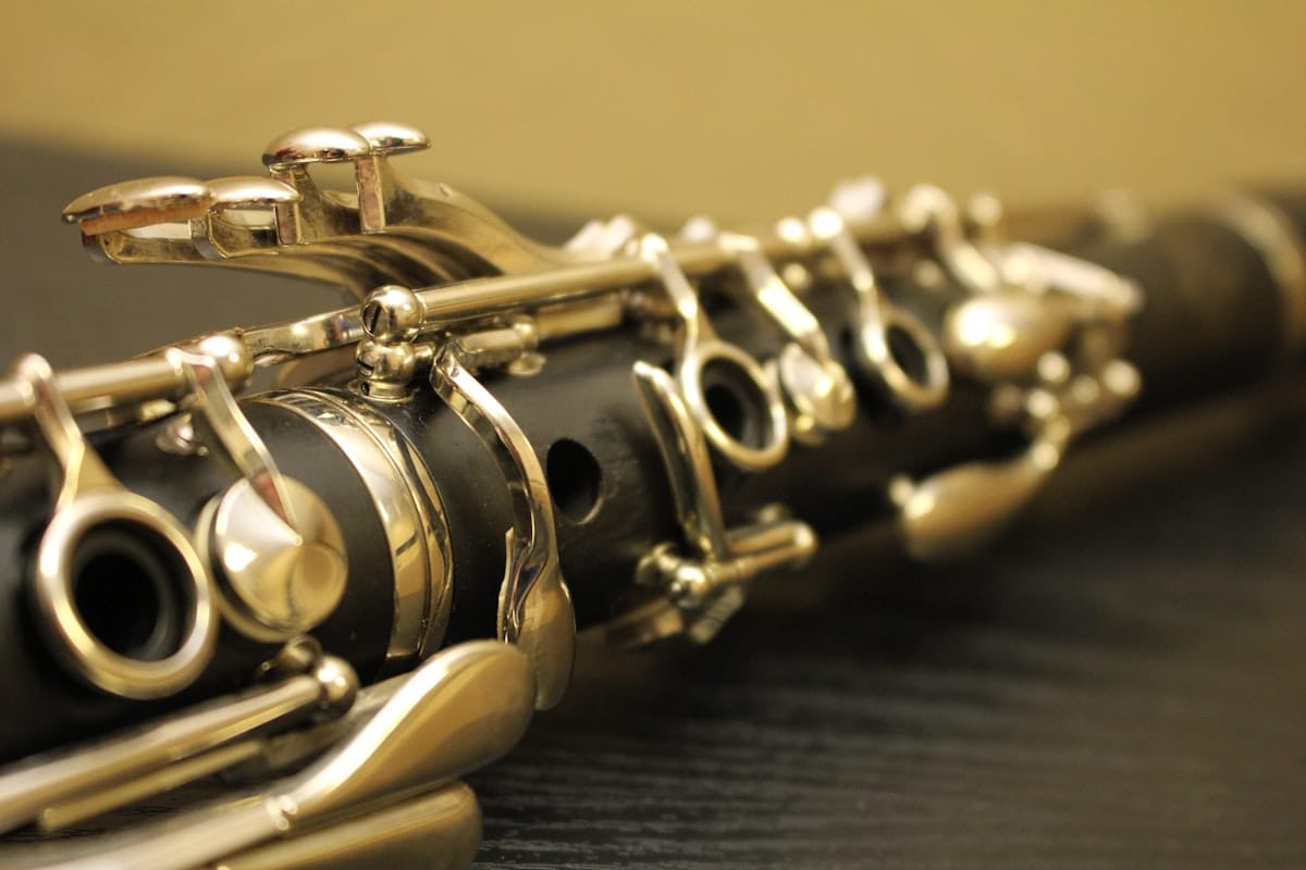 How to convert a PDF into editable clarinet sheet music