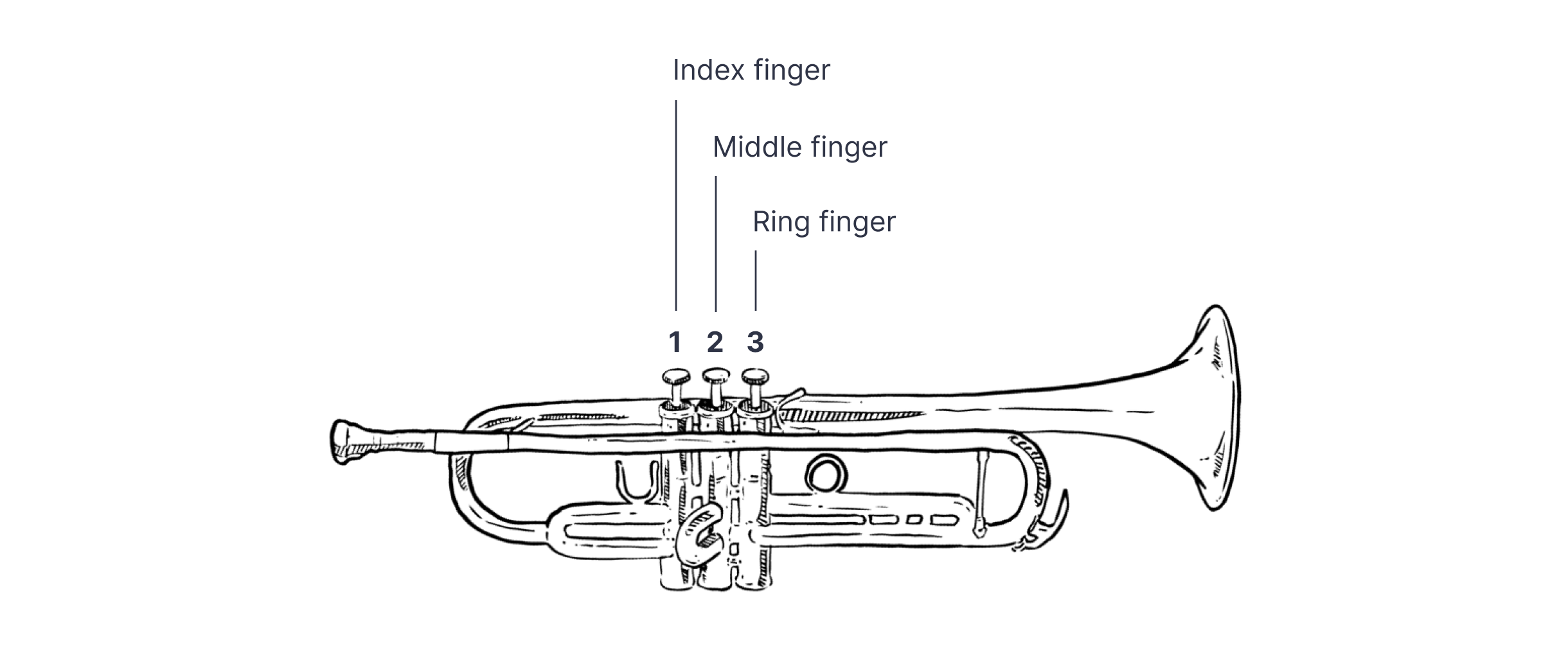 Trumpet Fingering Charts and Tips for Learning