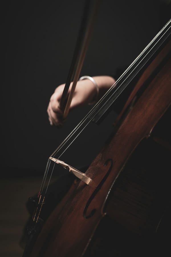 Cello sheet music maker: write and share your scores