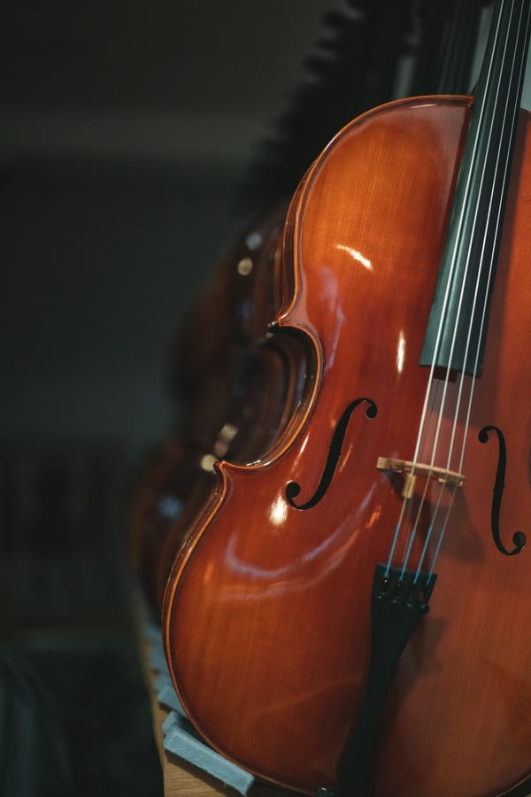 How to convert a PDF into editable violin sheet music