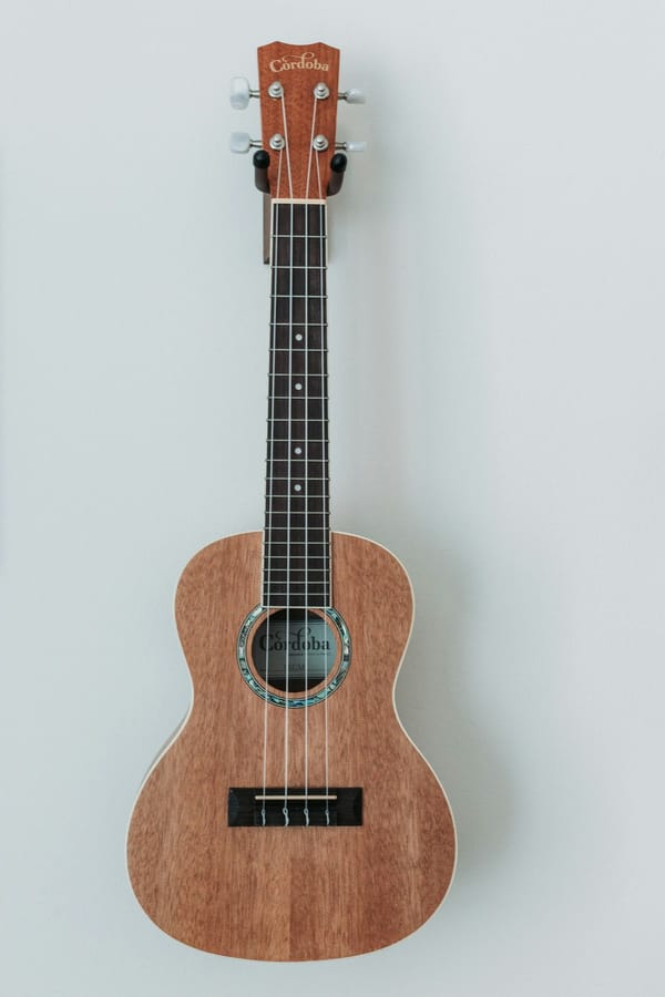 How to write tabs for ukulele in music notation software